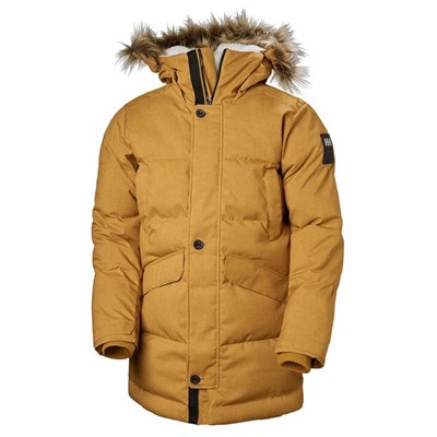 Men's Helly Hansen Barents Parka Brown | 951-GJADFC