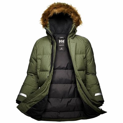 Men's Helly Hansen Barents Parka Grey / Green | 029-UOBLMJ