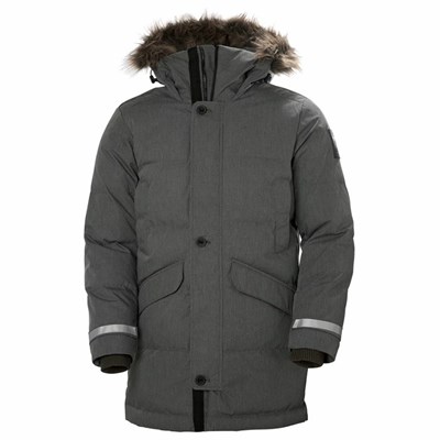 Men's Helly Hansen Barents Winter Jackets Grey | 024-AWCREU