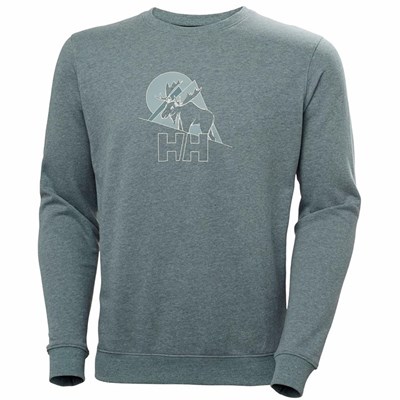 Men's Helly Hansen F2f Organic Cotton Sweatshirts Grey | 276-ZAGLNO