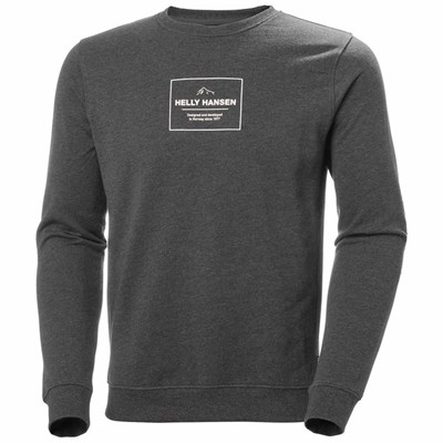 Men's Helly Hansen F2f Organic Cotton Sweaters Grey | 470-AOSLWF