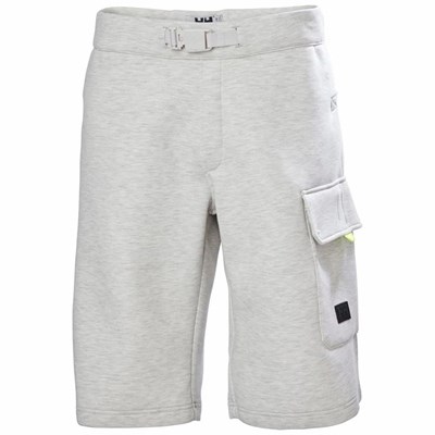 Men's Helly Hansen Hh Arc S21 Ocean Sweat Shorts Grey | 861-WNVIUF