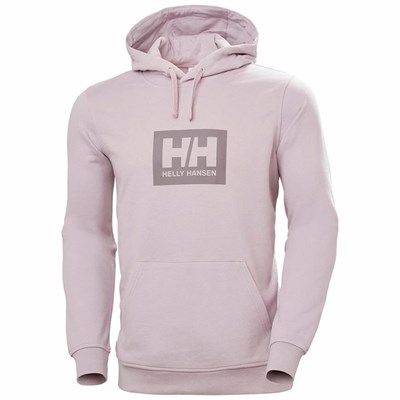 Men's Helly Hansen Hh Boxhooded Sweatshirts Purple / Grey | 354-WKQARN