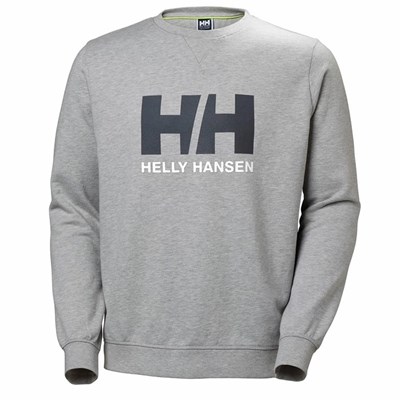 Men's Helly Hansen Hh Logo Crew Sweat Sweatshirts Grey | 603-CENHTI