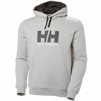 Men's Helly Hansen Hh Logo Hooded Sweatshirts Grey | 083-QKGHNP