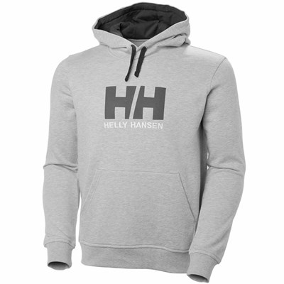 Men's Helly Hansen Hh Logo Hooded Sweatshirts Grey | 249-PYCZQX