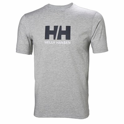 Men's Helly Hansen Hh Logo T Shirts Grey | 342-TOVNIX