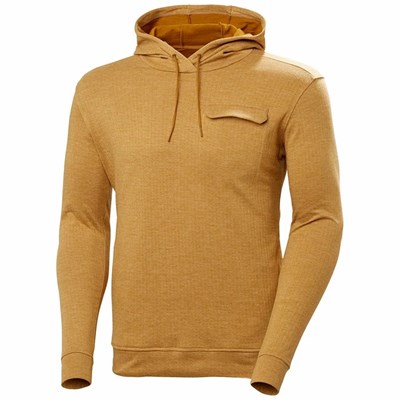 Men's Helly Hansen Hyggen Hooded Sweatshirts Brown | 256-TQNSPH