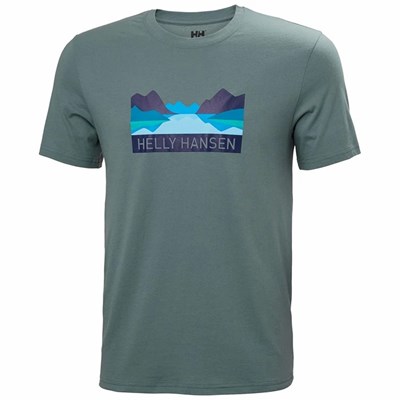 Men's Helly Hansen Nord Graphic T Shirts Grey | 618-JHYIDU