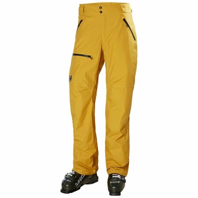 Men's Helly Hansen Sogn Cargo Snow Pants Brown | 042-KJBQHR