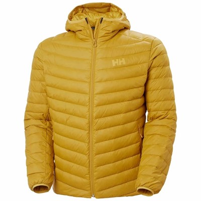 Men's Helly Hansen Verglas Hooded Puffer Jackets Brown | 795-BHZFEU