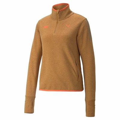 Women's Helly Hansen Puma X Ls-shirt W Shirts Brown | 364-BSHIFZ