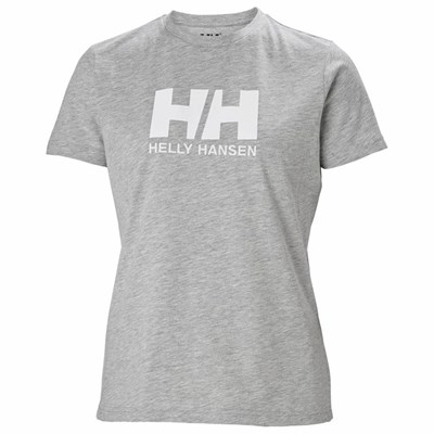 Women's Helly Hansen W Hh Logo T Shirts Grey | 605-YTEIUR