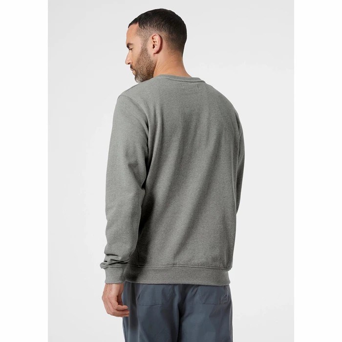 Men's Helly Hansen F2f Organic Cotton Sweatshirts Grey | 439-ZWHAOB