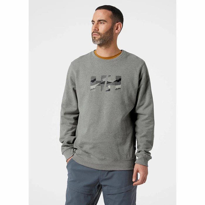 Men's Helly Hansen F2f Organic Cotton Sweatshirts Grey | 439-ZWHAOB