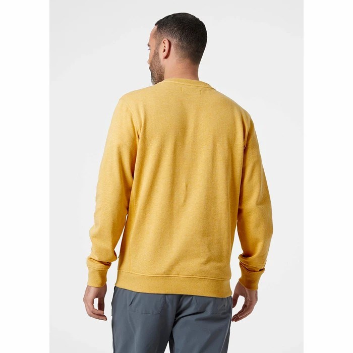 Men's Helly Hansen F2f Organic Cotton Sweaters Brown | 759-JIBHEV