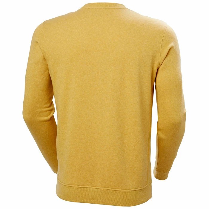 Men's Helly Hansen F2f Organic Cotton Sweaters Brown | 759-JIBHEV