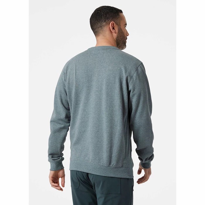 Men's Helly Hansen F2f Organic Cotton Sweaters Grey | 930-SZEDBG