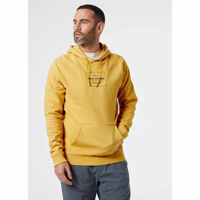 Men's Helly Hansen F2f Organic Cottonhooded Sweatshirts Brown | 451-DAWLTZ