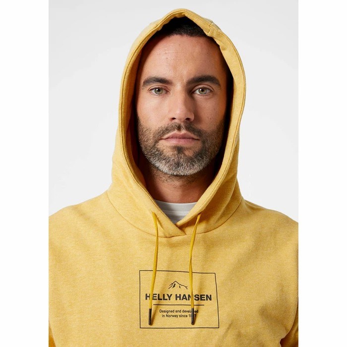 Men's Helly Hansen F2f Organic Cottonhooded Sweatshirts Brown | 451-DAWLTZ