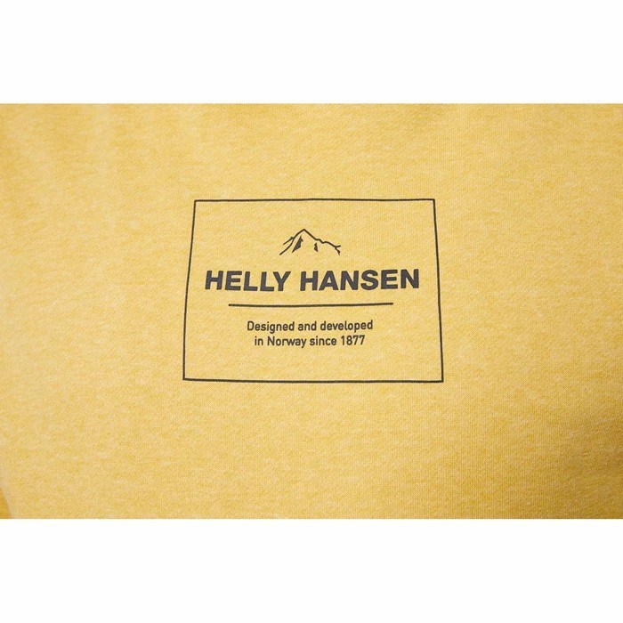 Men's Helly Hansen F2f Organic Cottonhooded Sweatshirts Brown | 451-DAWLTZ