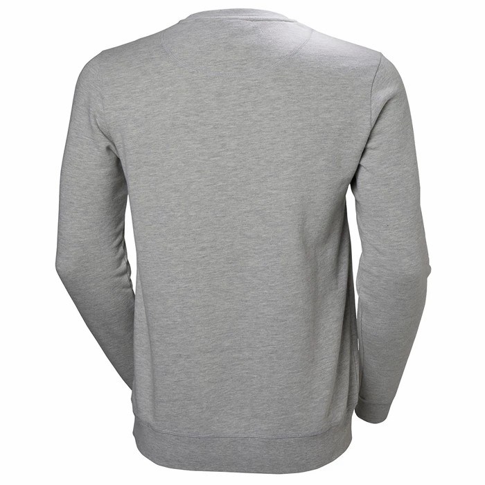 Men's Helly Hansen Hh Logo Crew Sweat Sweatshirts Grey | 603-CENHTI