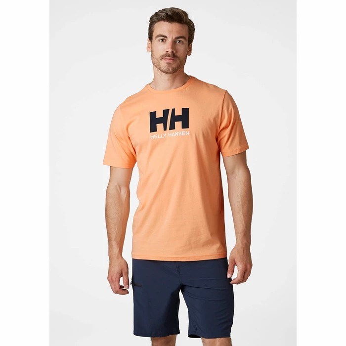 Men's Helly Hansen Hh Logo T Shirts Brown / Red | 139-RDQLVS