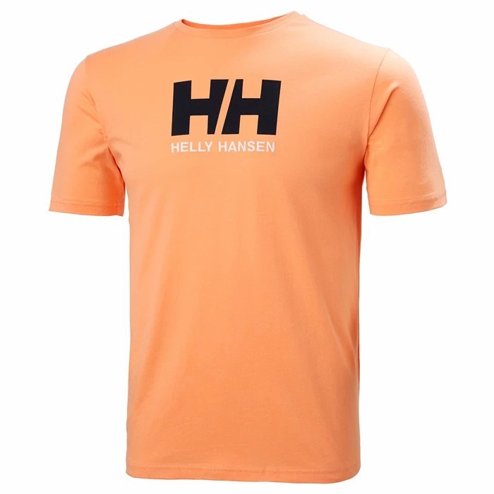 Men\'s Helly Hansen Hh Logo T Shirts Brown / Red | 139-RDQLVS