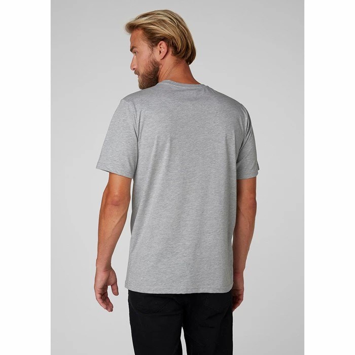 Men's Helly Hansen Hh Logo T Shirts Grey | 342-TOVNIX