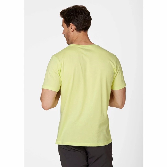 Men's Helly Hansen Hh Logo T Shirts Light Green | 384-YUFWCR