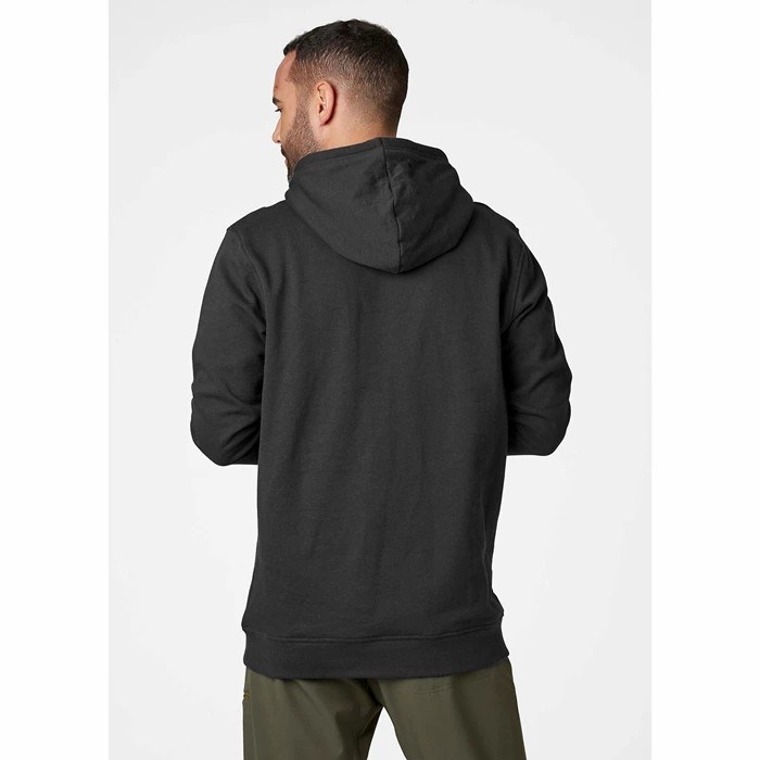 Men's Helly Hansen Nord Graphic Pull Over Hooded Sweatshirts Grey | 438-RMLOBT