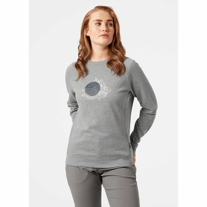 Women's Helly Hansen W F2f Organic Cotton Shirts Grey | 940-EKSZLJ