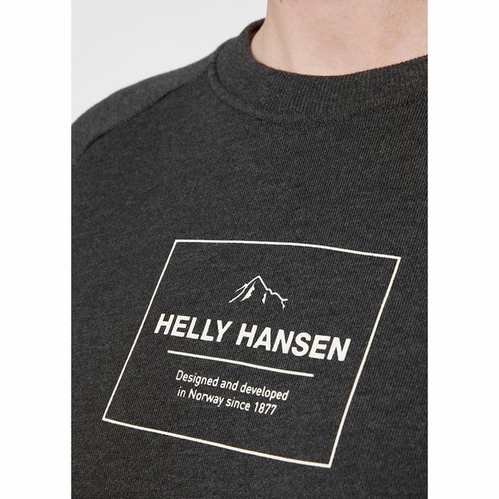 Women's Helly Hansen W F2f Organic Cotton Shirts Grey | 946-AJNBVD